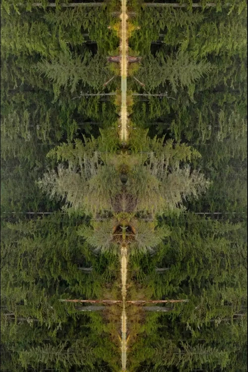 Mirrorpond постер