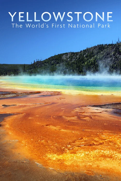 National Parks Exploration Series: Yellowstone постер