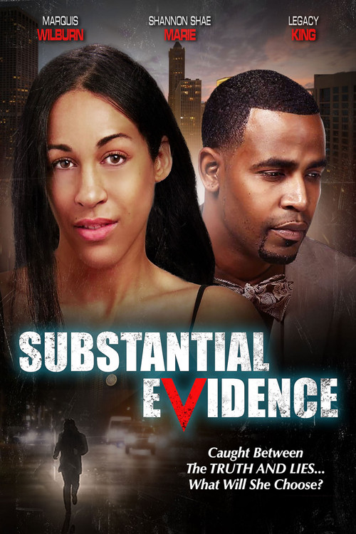 Substantial Evidence постер