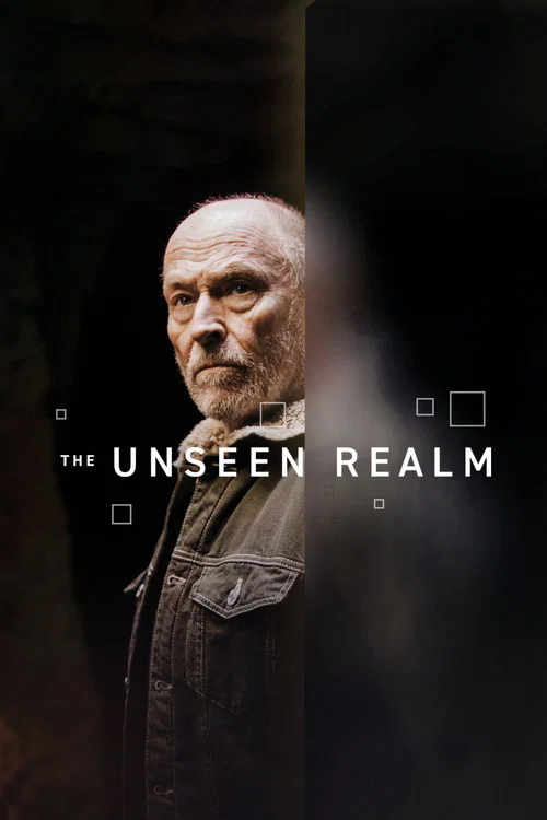 The Unseen Realm постер