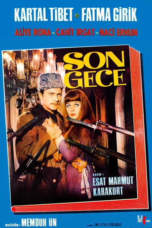 Son Gece постер