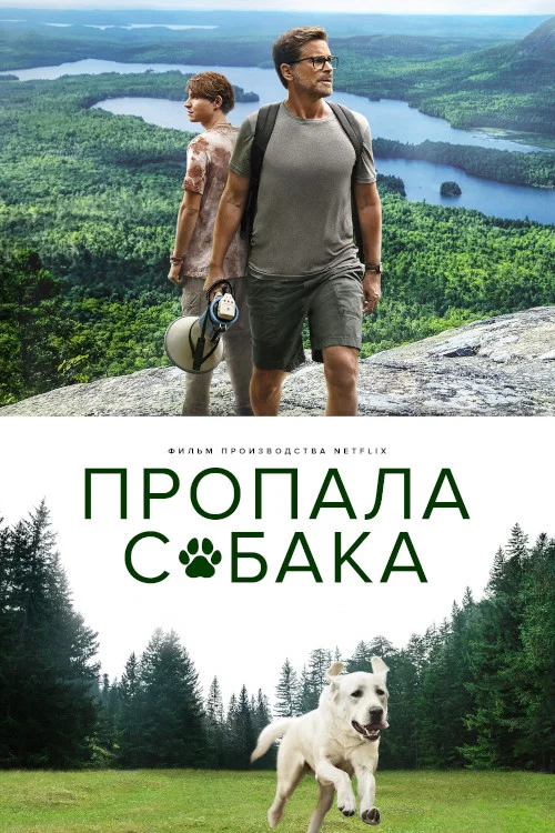 Пропала собака постер