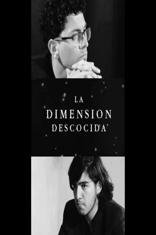 La Dimensión Descosida постер