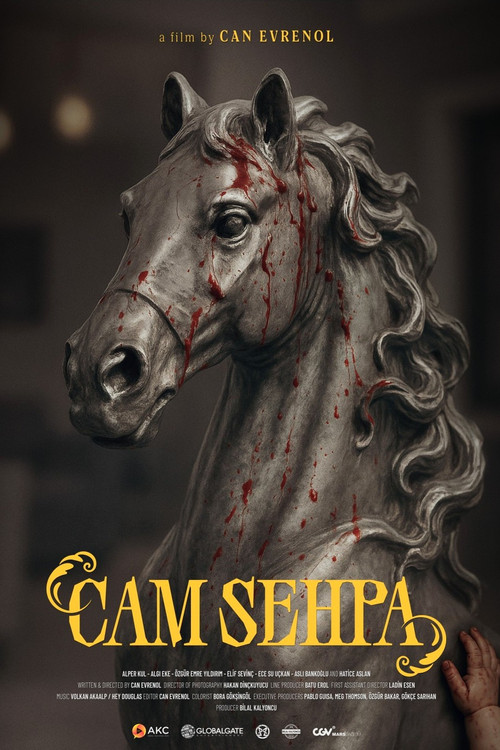 Cam Sehpa постер