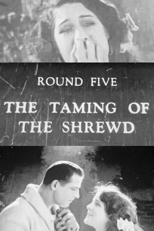 The Taming of the Shrewd постер