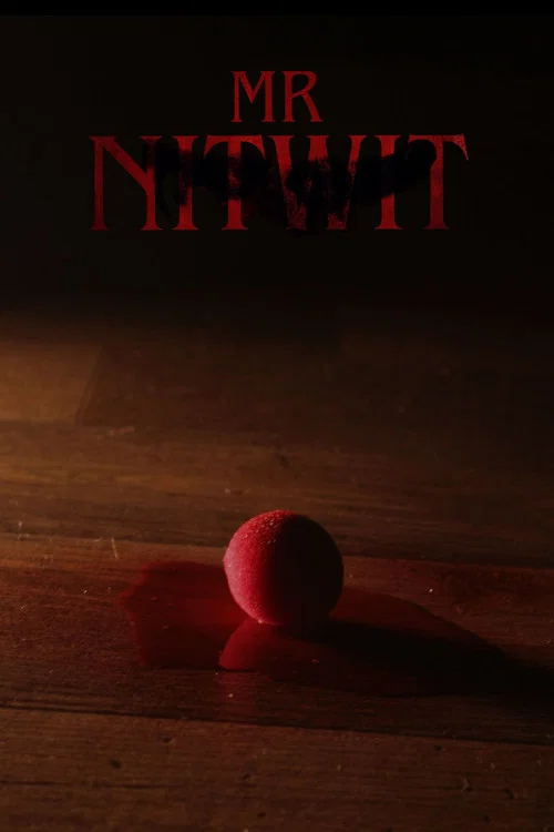 Mr Nitwit постер