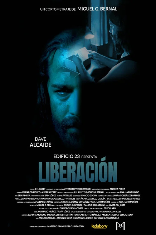 Liberación постер