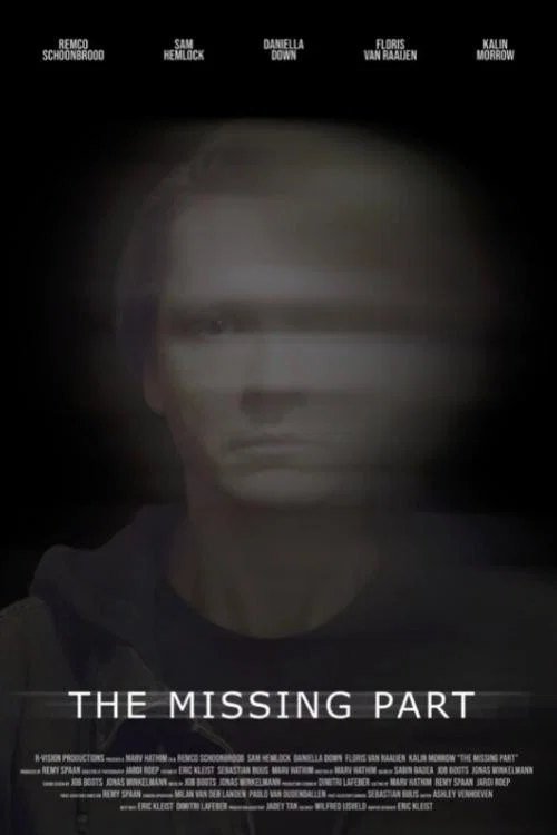 The Missing Part постер