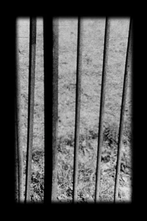 Railings постер