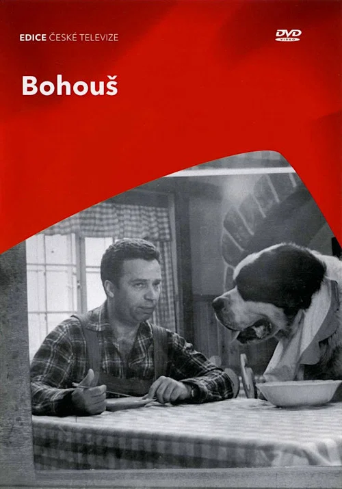 Bohouš постер