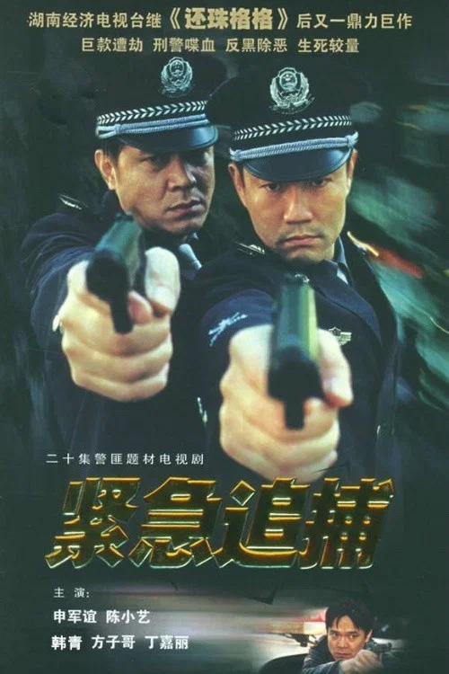 紧急追捕 постер