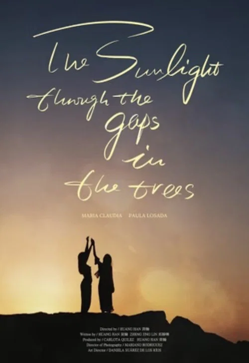 The Sunlight Through the Gaps in the Trees постер