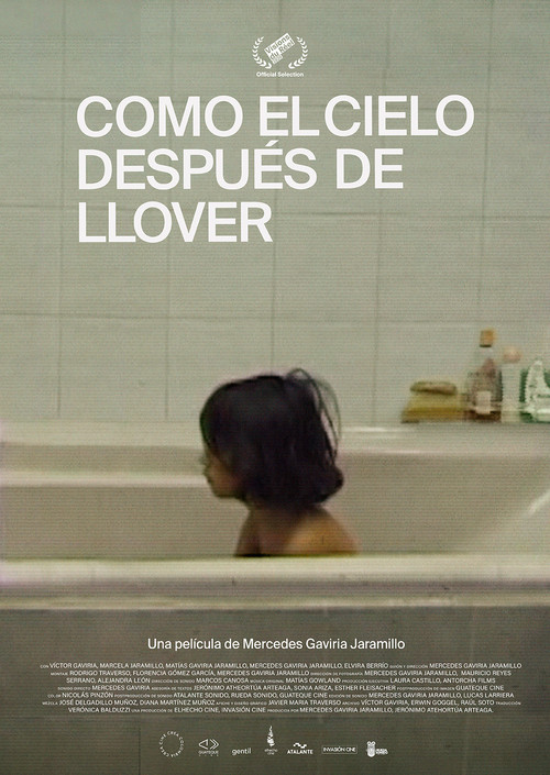 Como el cielo después de llover постер