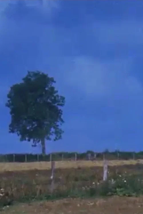 Dehors постер