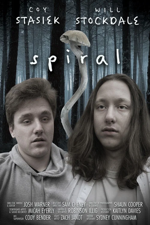 Spiral постер