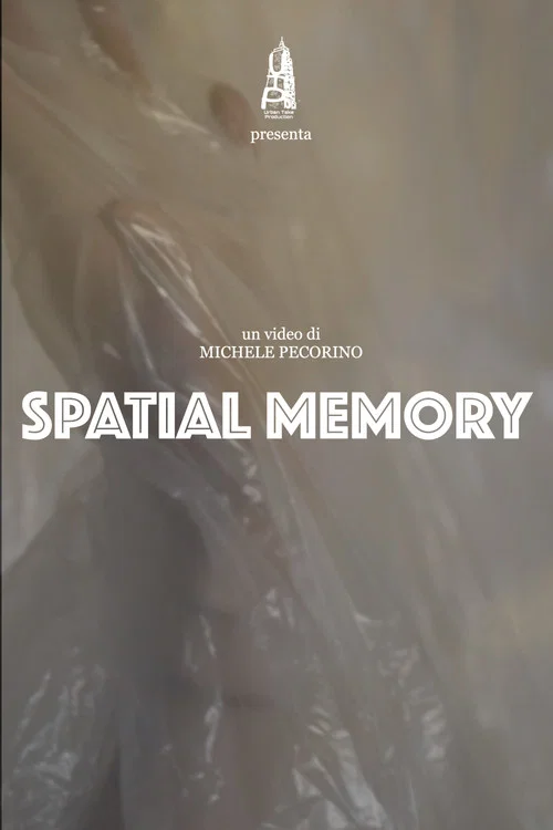 Spatial Memory постер