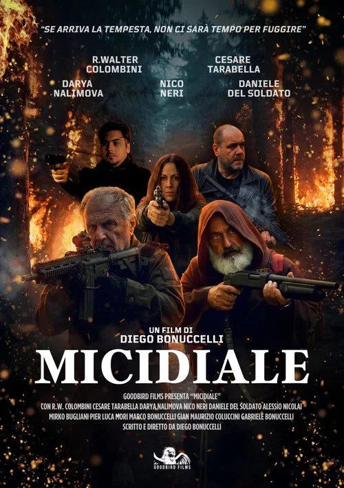 Micidiale постер