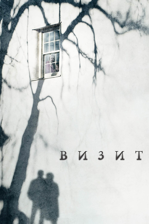 Визит постер