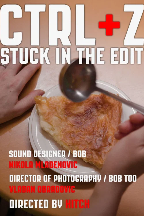 CTRL+Z Stuck in the Edit постер