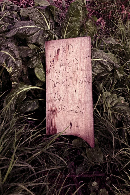 Dead Rabbit Skellington постер