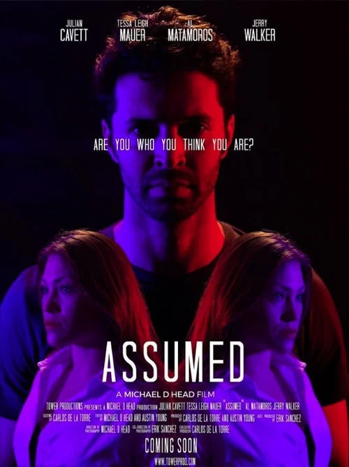 Assumed постер