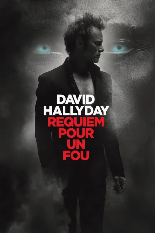 David Hallyday, requiem pour un fou постер