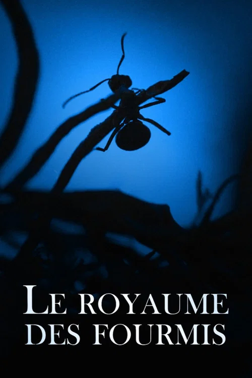 Le Royaume des fourmis постер
