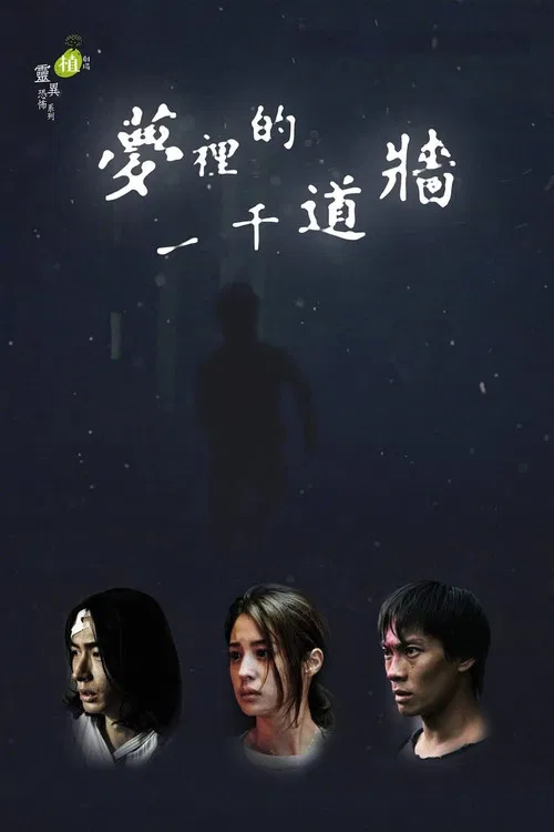 夢裡的一千道牆 постер