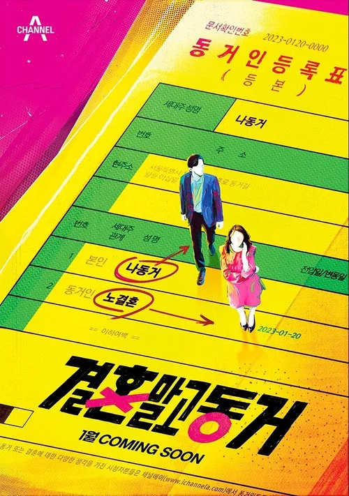 결혼 말고 동거 постер