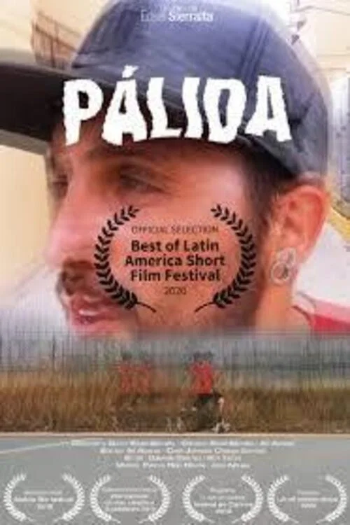 Pálida постер