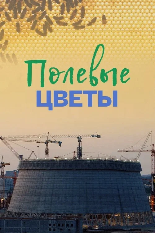 Полевые цветы постер