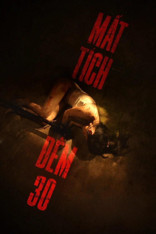 Mất tích đêm 30 постер