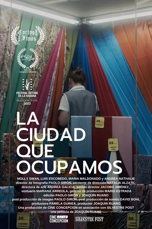 La ciudad que ocupamos постер