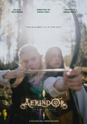 Aerindor: The silent sacrifice постер