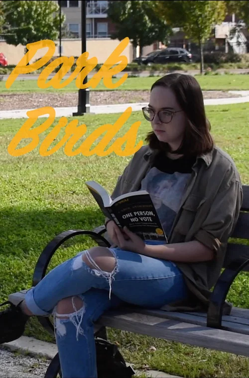 Park Birds постер