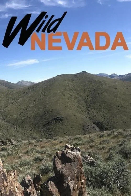 Wild Nevada постер