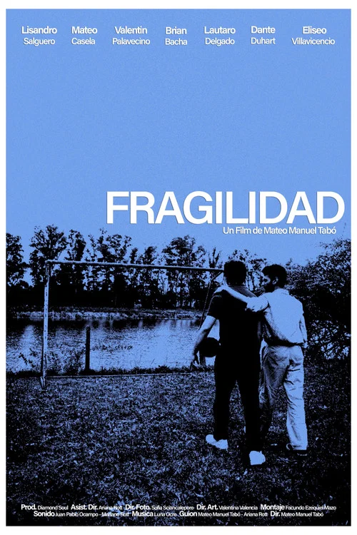 Fragilidad постер