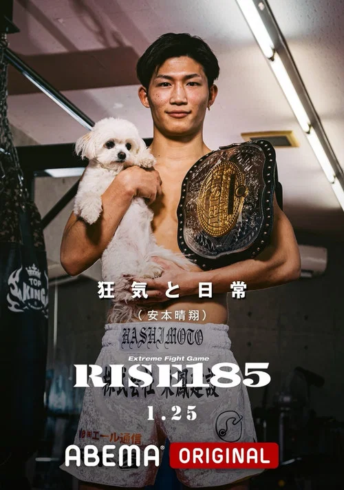 RISE 185 постер