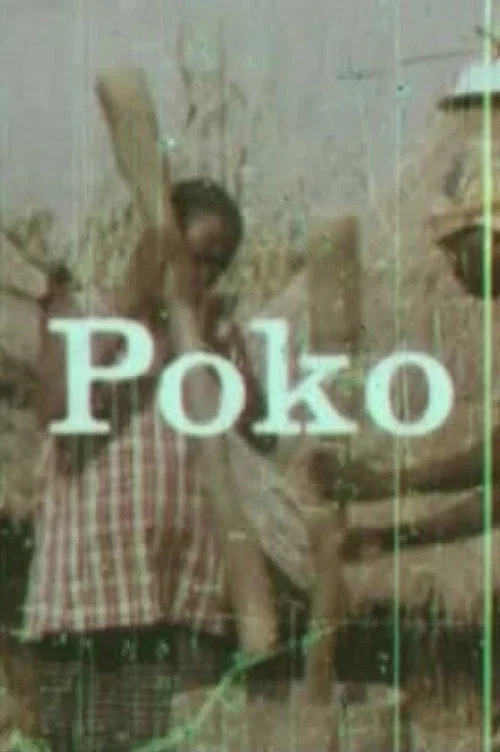 Poko постер