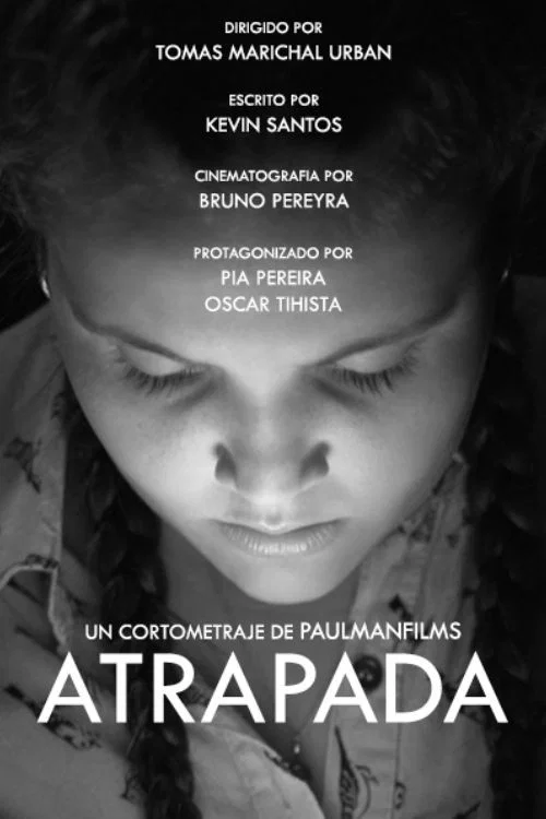Atrapada постер