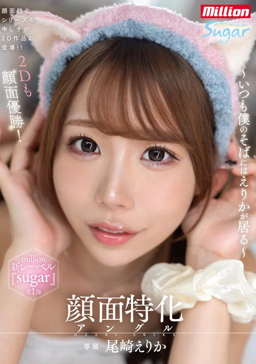 顔面特化アングル ～いつも僕のそばにはえりかが居る～ постер