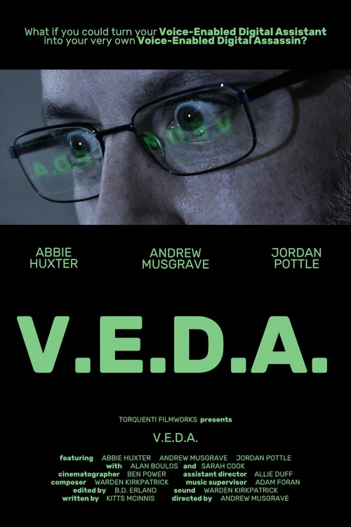 V.E.D.A. постер