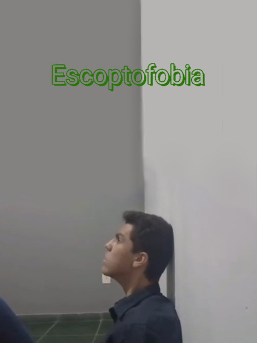 Escoptofobia постер