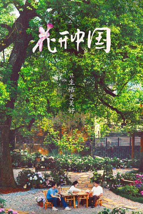 花开中国 постер