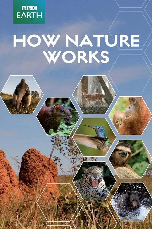 How Nature Works постер