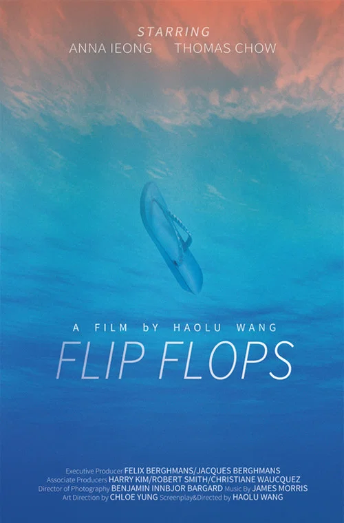 Flip Flops постер