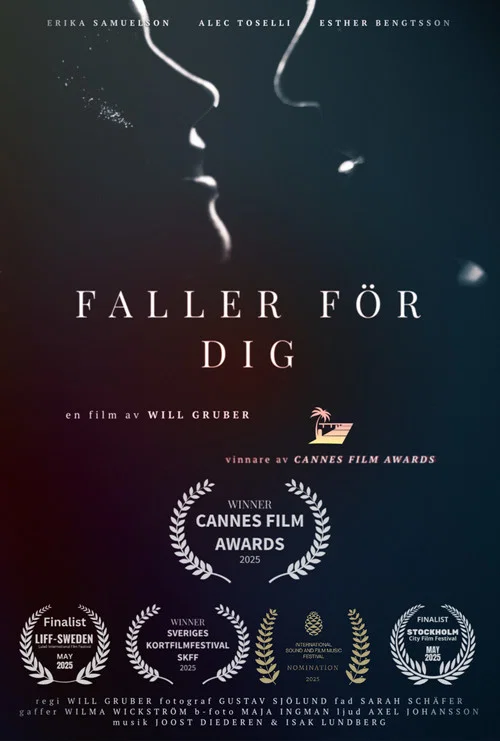 Faller För Dig постер