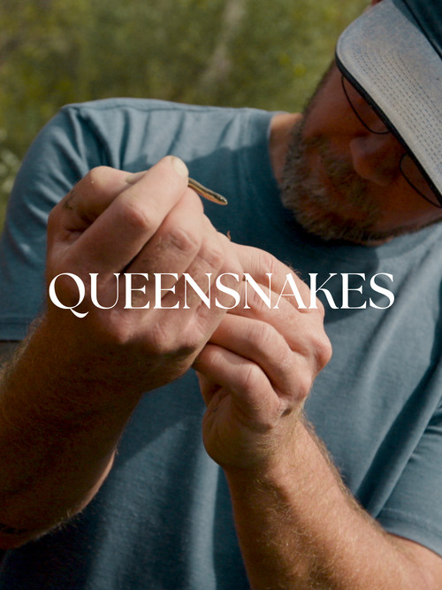 Queensnakes постер