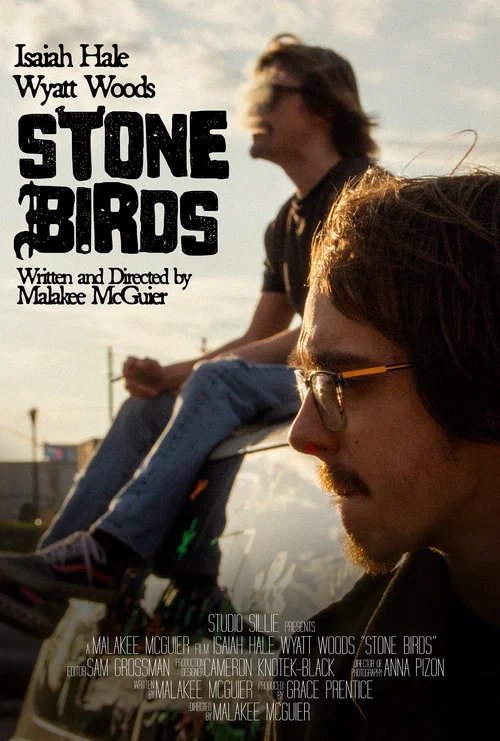 Stone Birds постер