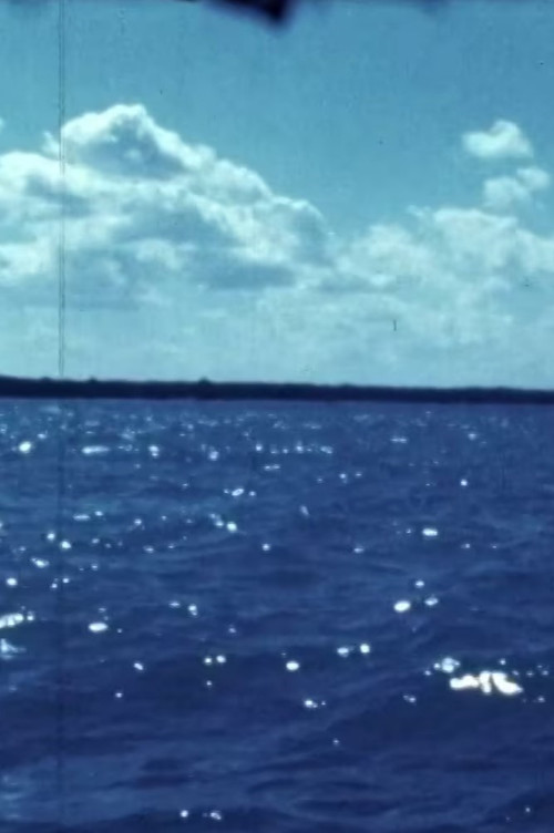 Woman Water Huron Goodbye постер